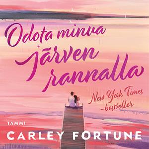 Odota minua järven rannalla by Carley Fortune