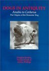 Dogs in Antiquity: Anubis to Cerberus: The Origin of the Domestic Dog by Douglas J. Brewer, Terence Clark, Adrian Phillips
