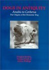 Dogs in Antiquity: Anubis to Cerberus: The Origin of the Domestic Dog by Terence Clark, Adrian Phillips, Douglas J. Brewer