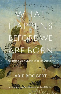 What Happens Before We Are Born: Creating Our Living Web of Destiny by Arie Boogert