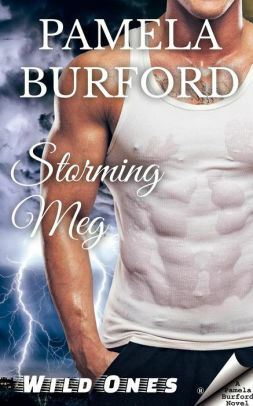 Storming Meg by Pamela Burford