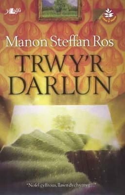 Trwy'r Darlun by Manon Steffan Ros