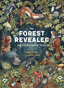 The Forest Revealed: An Illustrated Year by Jada Fitch, Kateri Kosek