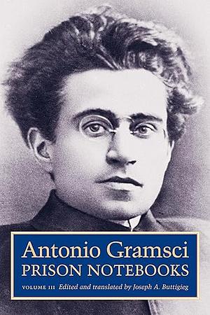 Prison Notebooks: Volume III by Antonio Gramsci