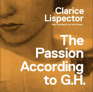 The Passion According to G.H. by Clarice Lispector