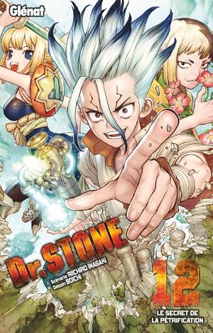 Dr. STONE, tome 12 : Le secret de la pétrification by Riichiro Inagaki