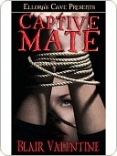 Captive Mate by Blair Valentine