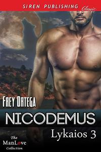 Nicodemus by Frey Ortega