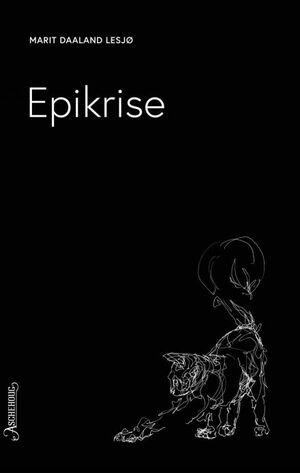 Epikrise by Marit Daaland Lesjø