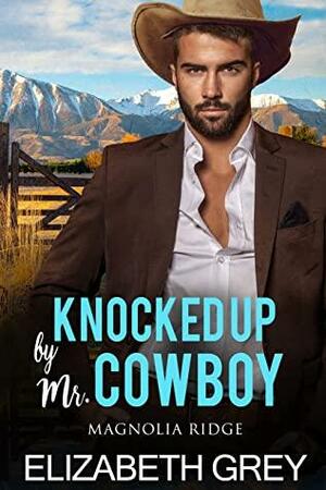 Knocked Up By Mr. Cowboy: Accidental Baby Boss Cowboy Romance by Elizabeth Grey