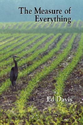 The Measure of Everything by Ed Davis