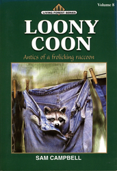 Looney Coon by Sam Campbell