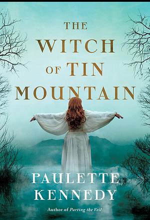 The Witch of Tin Mountain by Paulette Kennedy