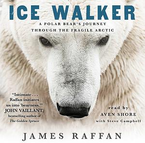Ice Walker: A Polar Bear's Journey Through the Fragile Arctic by James Raffan