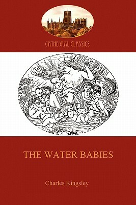 The Water Babies (Aziloth Books) by Charles Kingsley