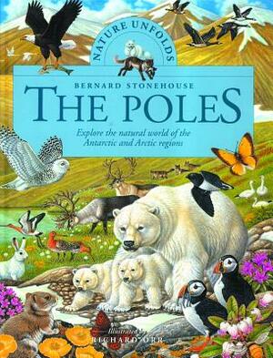 The Poles by Gerard Cheshire