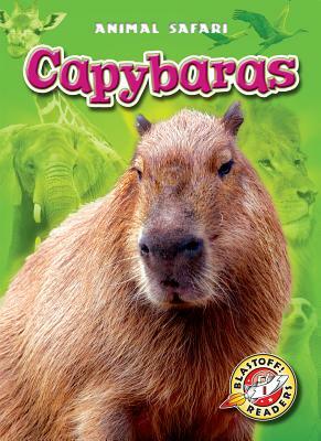 Capybaras by Megan Borgert-Spaniol