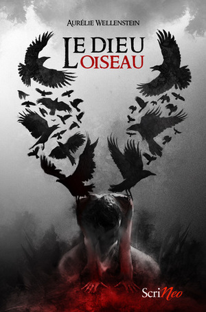 Le Dieu Oiseau by Aurélie Wellenstein