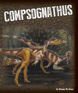 Compsognathus by Susan H. Gray