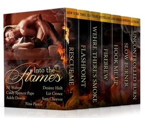 Into The Flames by Nina Pierce, Sam Cheever, N.J. Walters, Desiree Holt, Adele Downs, Liz Crowe, Cindy Spencer Pape