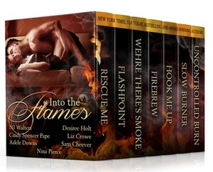 Into The Flames by Cindy Spencer Pape, Sam Cheever, Liz Crowe, Desiree Holt, Adele Downs, Nina Pierce, N.J. Walters