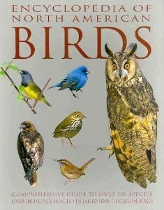 Birds Of North America (Encyclopedia Of) by David Alderton