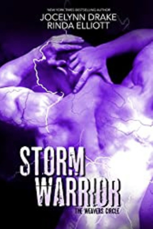 Storm Warrior (The Weavers Circle Book 5)  by Jocelyn Drake, Rinda Elliott