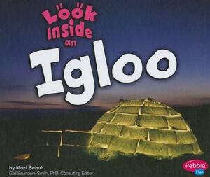Look Inside an Igloo by Nadine Fabbi, Gail Saunders-Smith, Mari Schuh