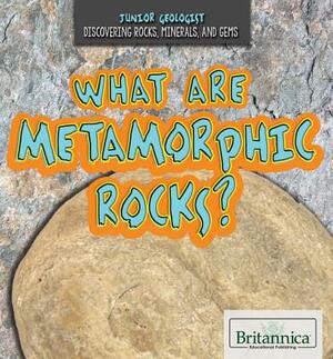 What Are Metamorphic Rocks? by Judy Monroe Peterson