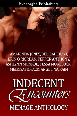 Indecent Encounters by Delilah Hunt, Angelina Rain, Melissa Hosack, Ashlynn Monroe, Amarinda Jones, Pepper Anthony, Tessa Morelock, Erin O'Riordan
