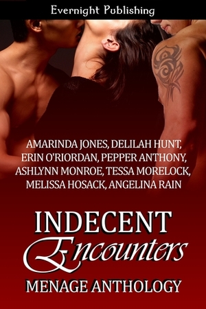 Indecent Encounters by Delilah Hunt, Ashlynn Monroe, Tessa Morelock, Angelina Rain, Amarinda Jones, Pepper Anthony, Erin O'Riordan, Melissa Hosack