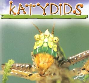 Katydids by Jason Cooper