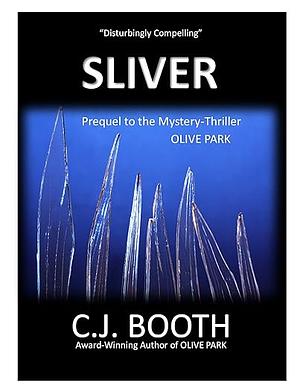 Sliver by C.J. Booth