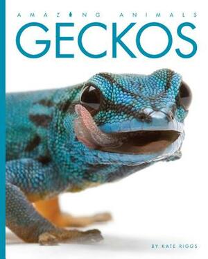 Amazing Animals: Geckos by Kate Riggs