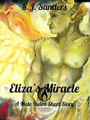 Eliza's Miracle by S.J. Sanders