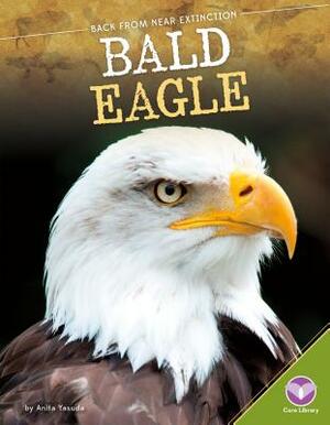 Bald Eagle by Anita Yasuda