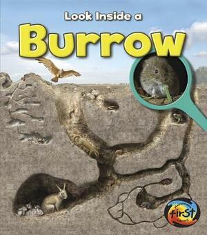 Burrow: Look Inside by Richard Spilsbury