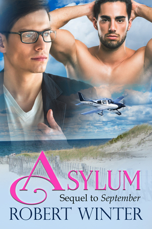 Asylum by Robert Winter