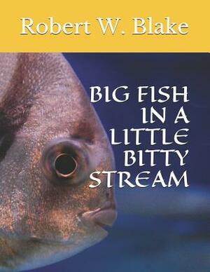 Big Fish in a Little Bitty Stream by Robert W. Blake