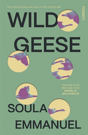 Wild Geese by Soula Emmanuel