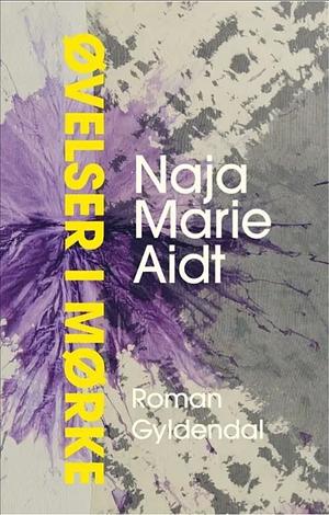 Øvelser i mørke  by Naja Marie Aidt