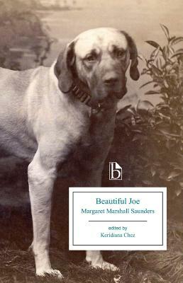 Beautiful Joe by Margaret Marshall Saunders