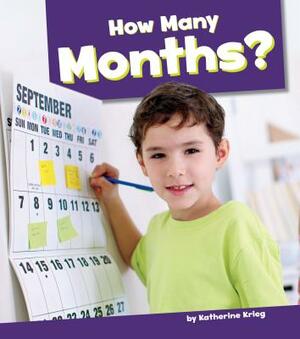 How Many Months? by Katherine Krieg