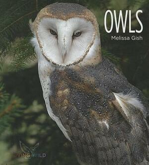 Owls by Melissa Gish