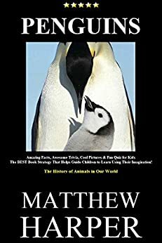 Penguins, Penguins & More Penguins: Volume 1 by Matthew Harper