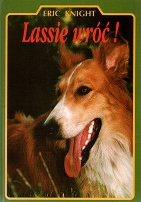 Lassie wróć! by Eric Knight, Włodzimierz Grabowski