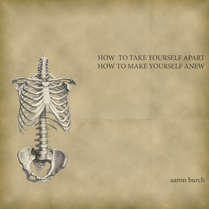 How to Take Yourself Apart, How to Make Yourself Anew by Aaron Burch