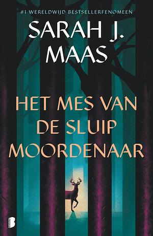 Het mes van de sluipmoordenaar by Sarah J. Maas