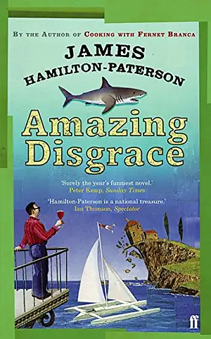 Amazing Disgrace by James Hamilton-Paterson