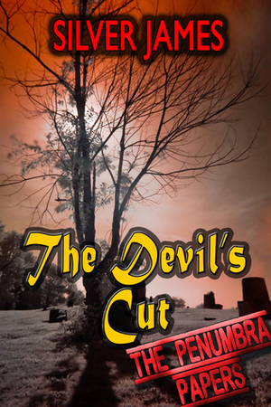 The Devil's Cut by Silver James